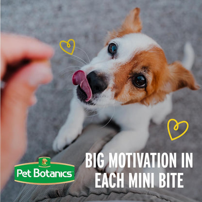 4 Oz. Pouch Training Reward Mini Soft & Chewy, Duck and Bacon Flavor, with 200 Treats per Bag, the Choice of Top Trainers